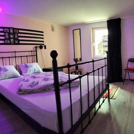 Ferienwohnung Doi Iepuri Azuga Exterior foto